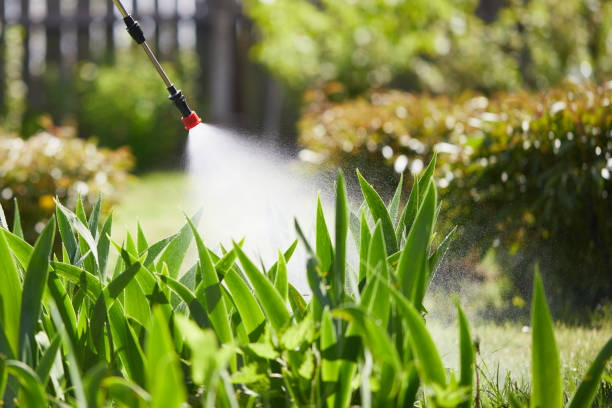 24/7 Emergency Mosquito Control experts in North Muskegon, MI