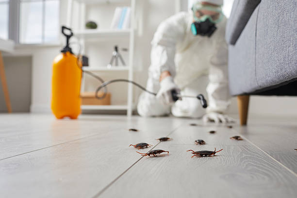 Trusted Cockroach Control service in North Muskegon, MI - Nex Pest Control
