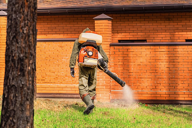 Trusted Bed Bug Control service in North Muskegon, MI - Nex Pest Control